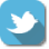 Share on Twitter